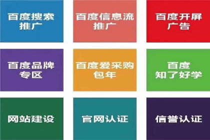 百度优化推广案例：关键词优化与SEO策略